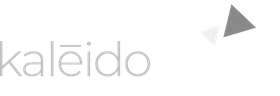 Kaleidoscope Social Impact